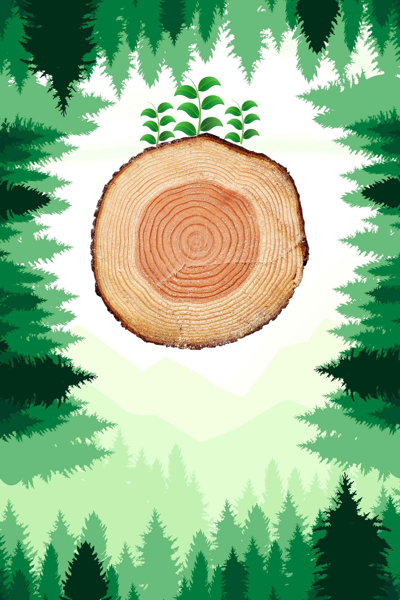 树轮与树苗312植树节绿色环保海报背景