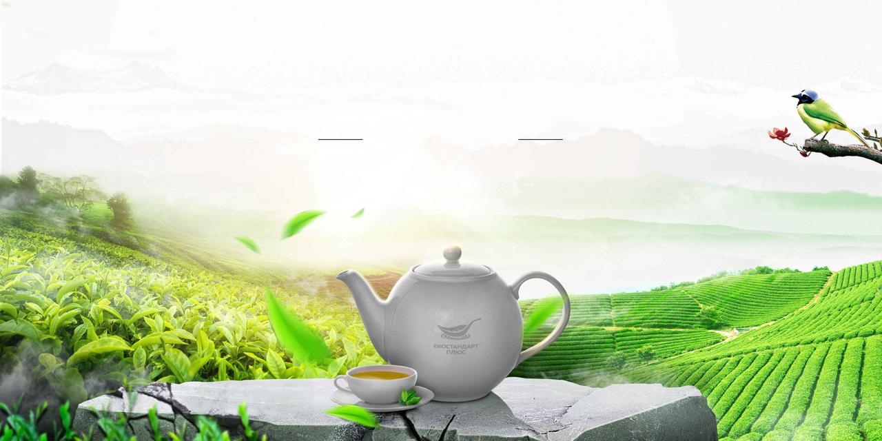 茶壶茶山风景普洱茶叶促销海报背景
