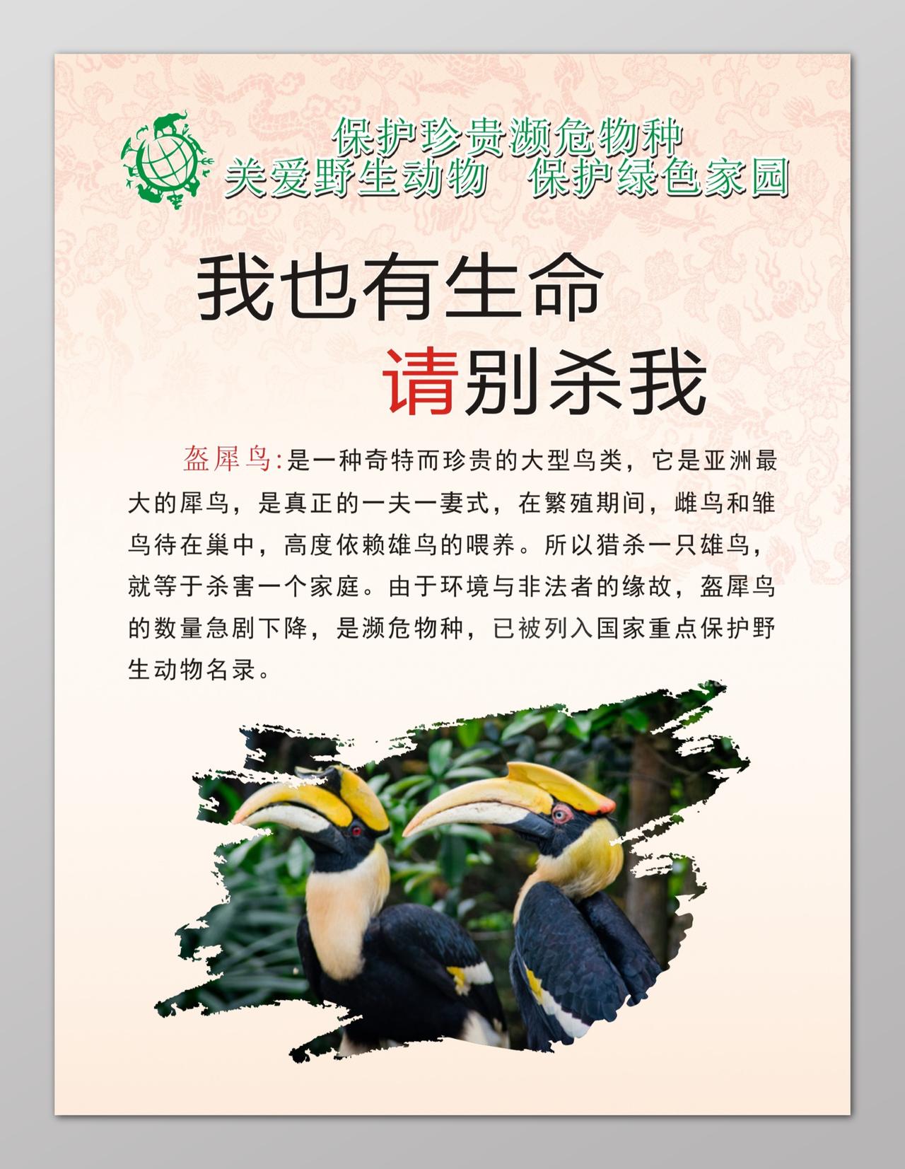 盔犀鸟保护野生动物海报