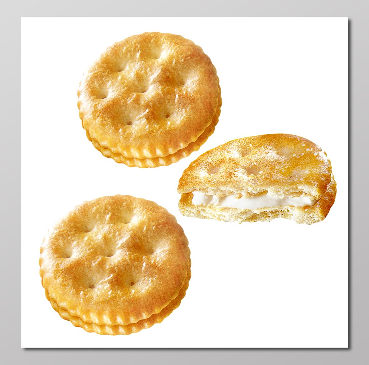 饼干夹心饼干素雅白宣传册设计