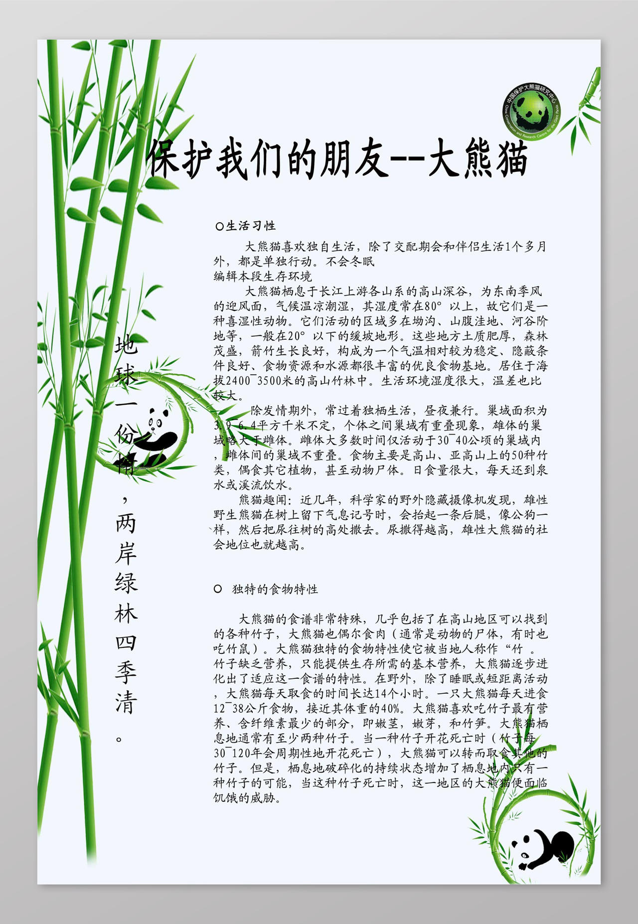 简洁熊猫竹子保护动物动物保护海报