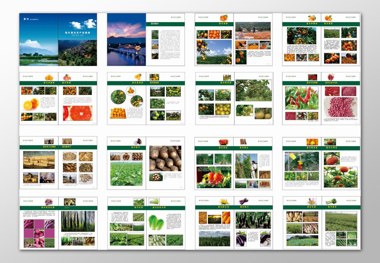 农产品画册休闲养生生态橙子橘子辣椒花生画册模板