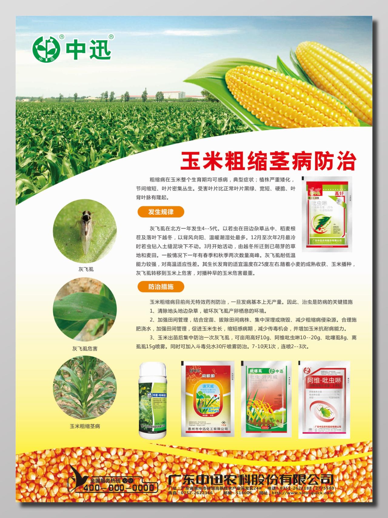 玉米粗缩茎病防治宣传海报