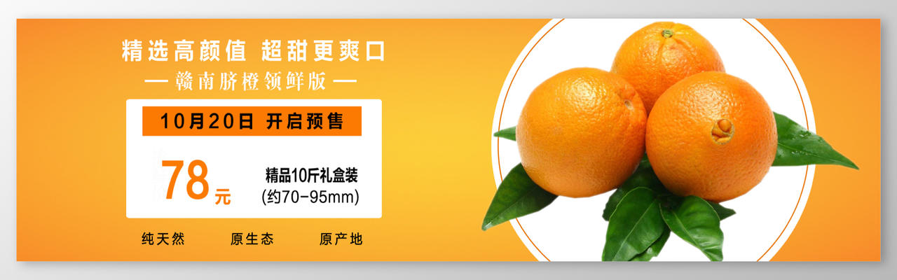 脐橙预售礼盒橙子生鲜新鲜水果海报