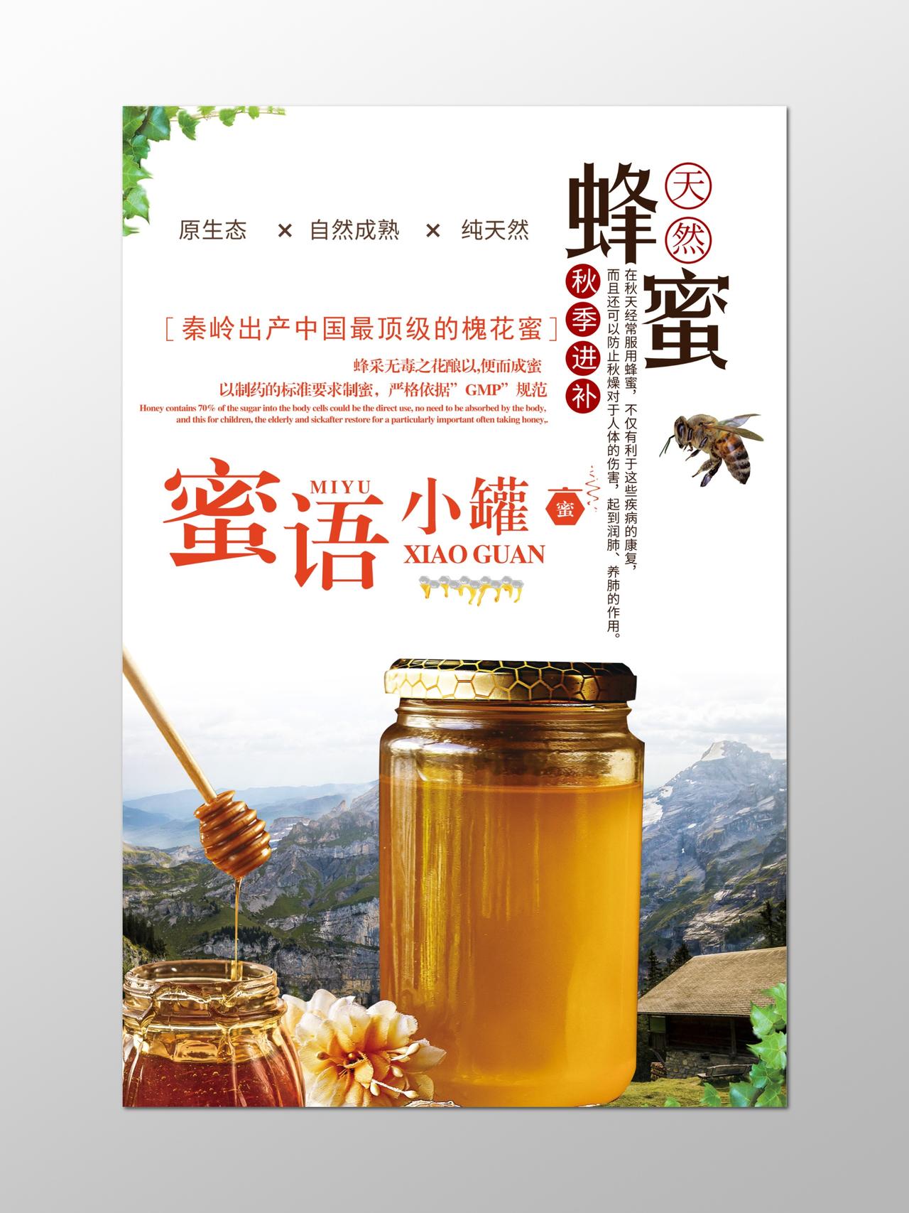 秋季进补优质蜂蜜宣传海报设计