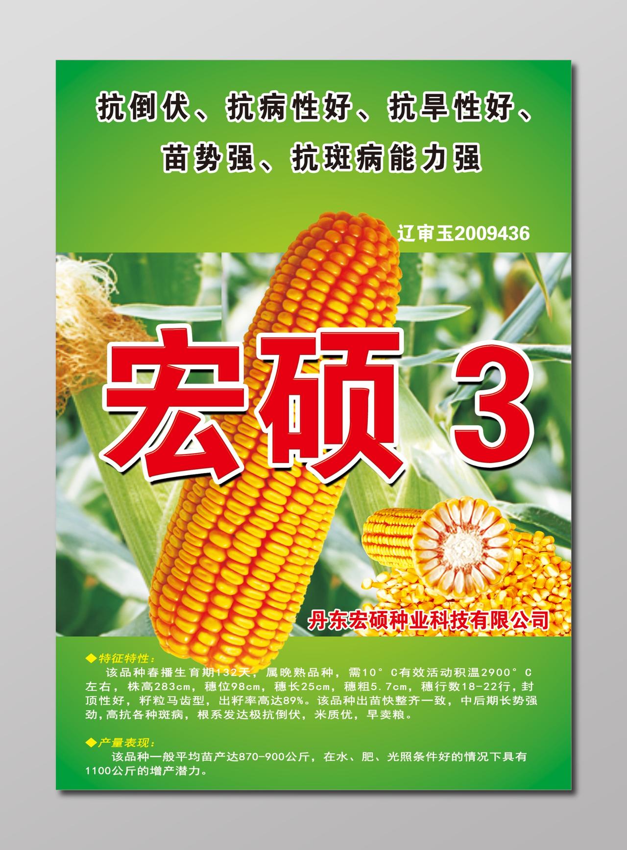 玉米品种粮食农产品海报