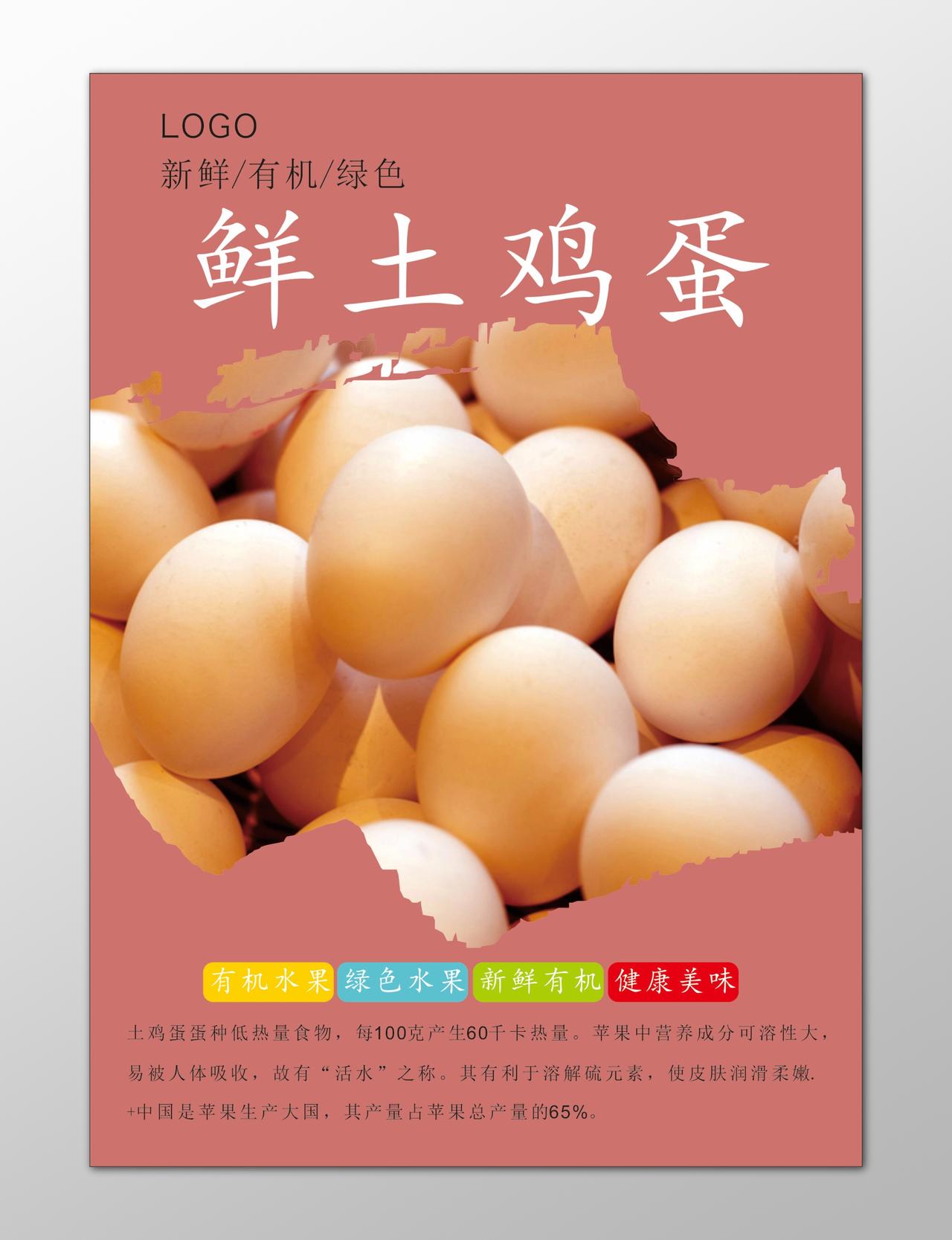 鸡蛋生鲜土特产新鲜有机绿色食品健康美味海报模板