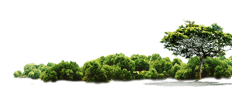 植物平面树丛绿树植物素材png免费下载 图星人 植物平面树丛绿树植物素材png免费下载 图星人