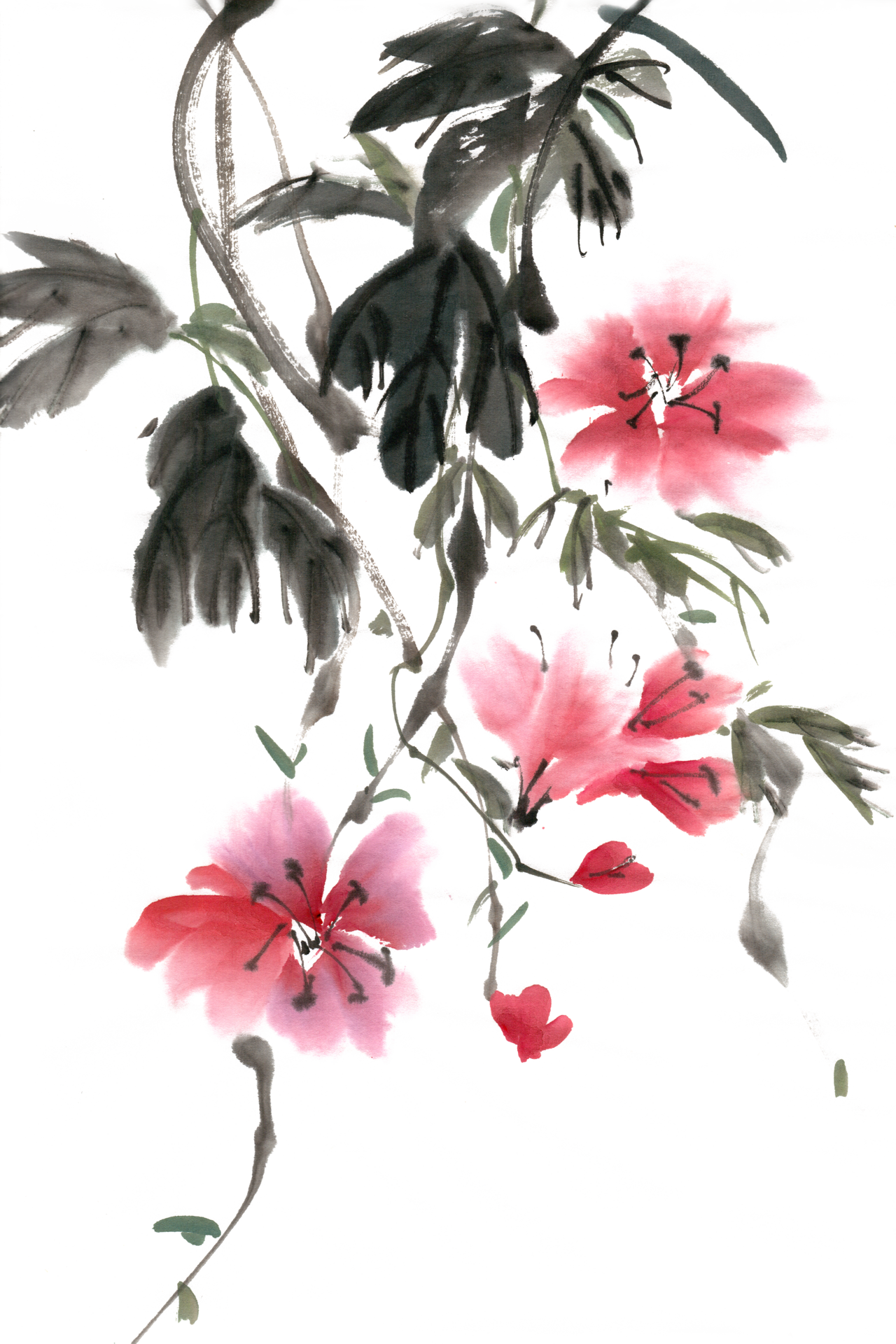 鲜艳的花水墨画png免抠素材psd免费下载 图星人