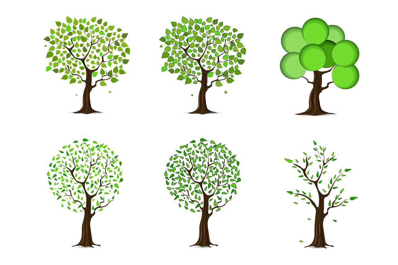绿色植物树素材