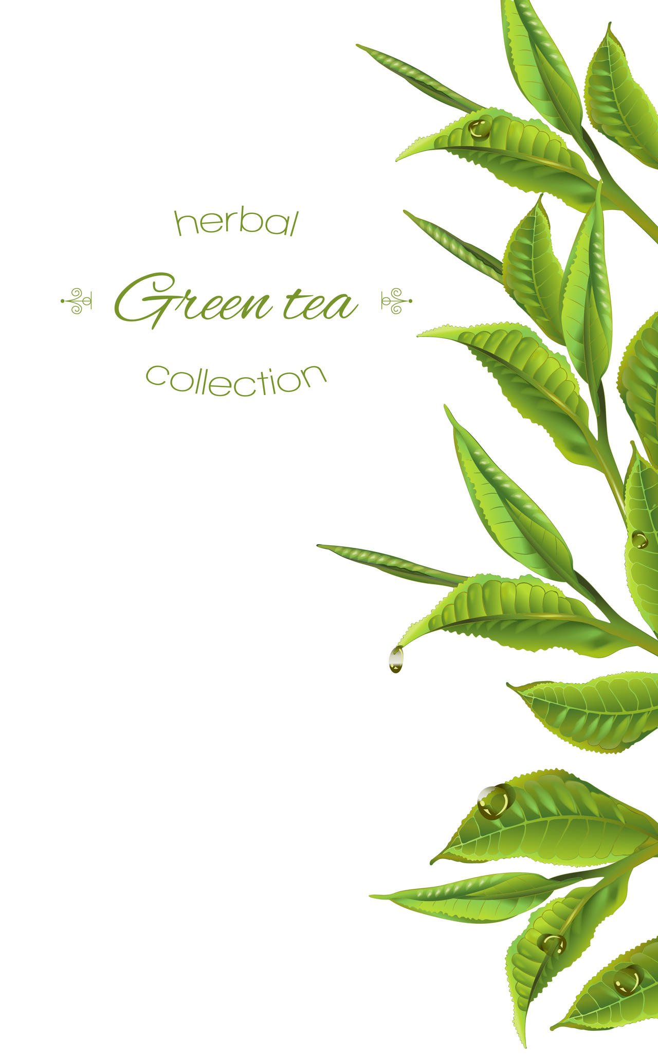 茶具茶杯茶壶茶文化清新绿叶简约绿茶素材