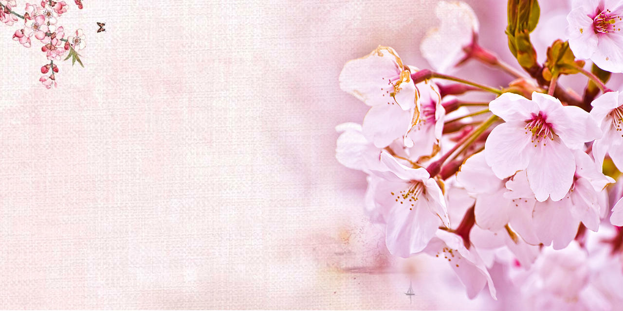桃花实拍合成海报桃花节旅游宣传展板粉色背景素材
