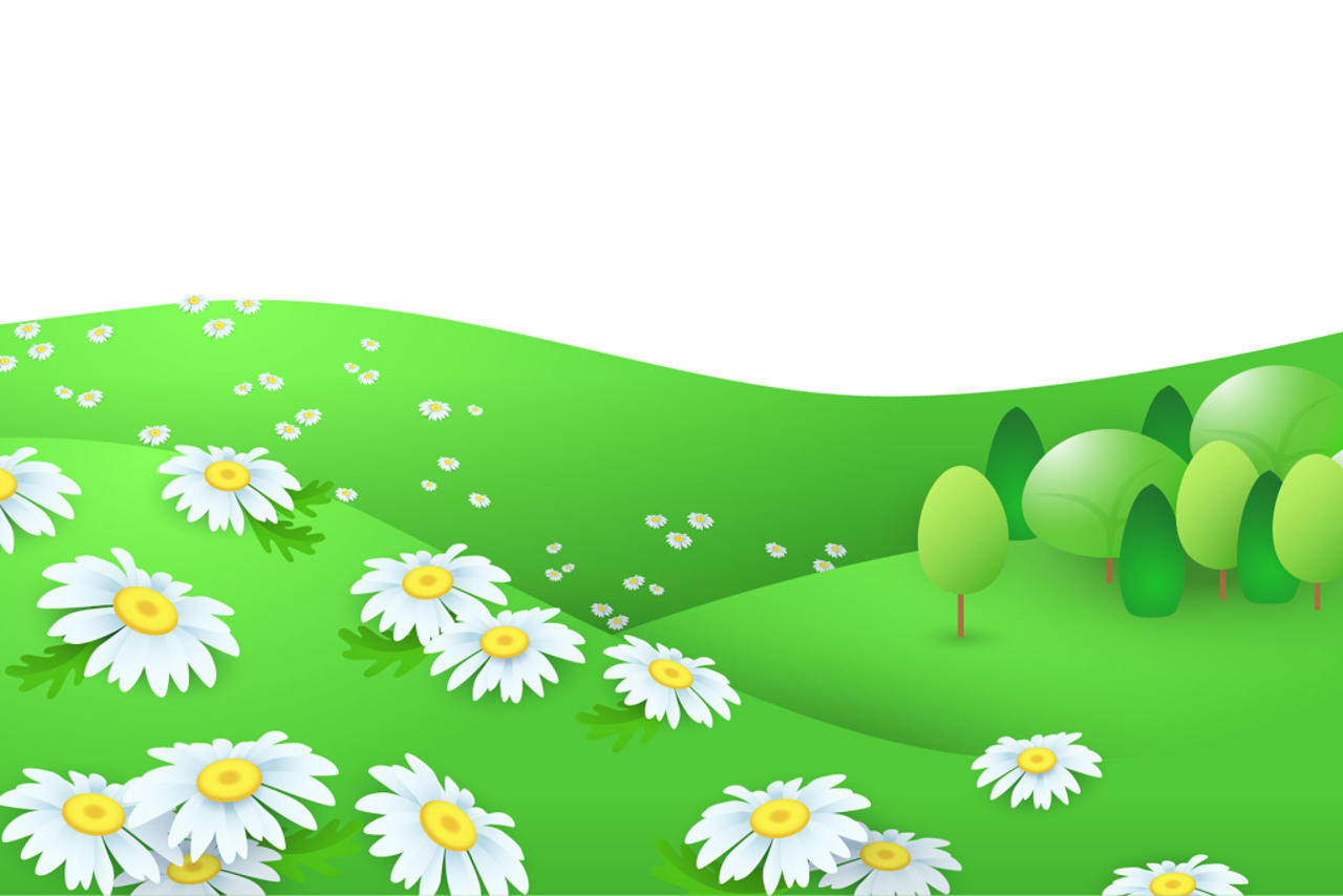 草坪小雏菊草地绿色春天绿色植物png素材