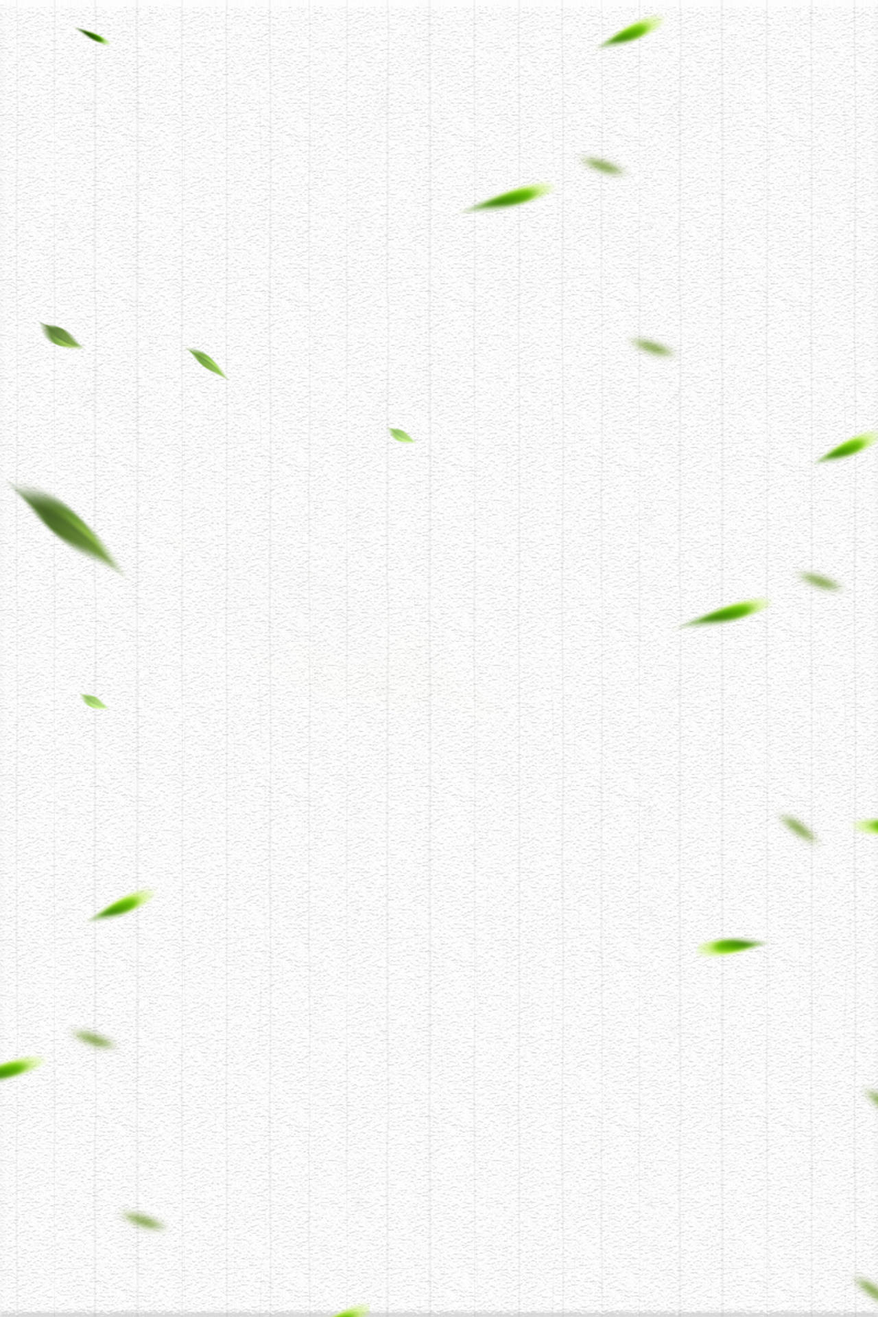 纯色条纹竹叶二十四节气夏至白色海报背景