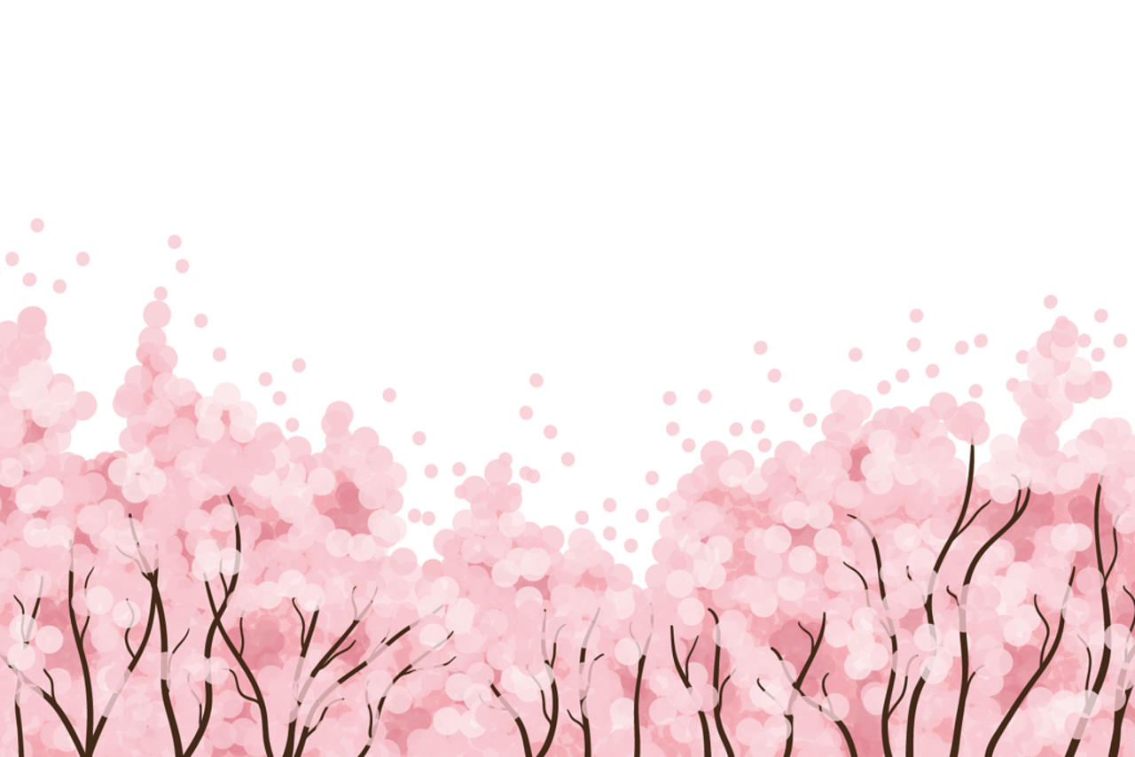 春天踏青日本樱花花朵花瓣花卉树叶png元素