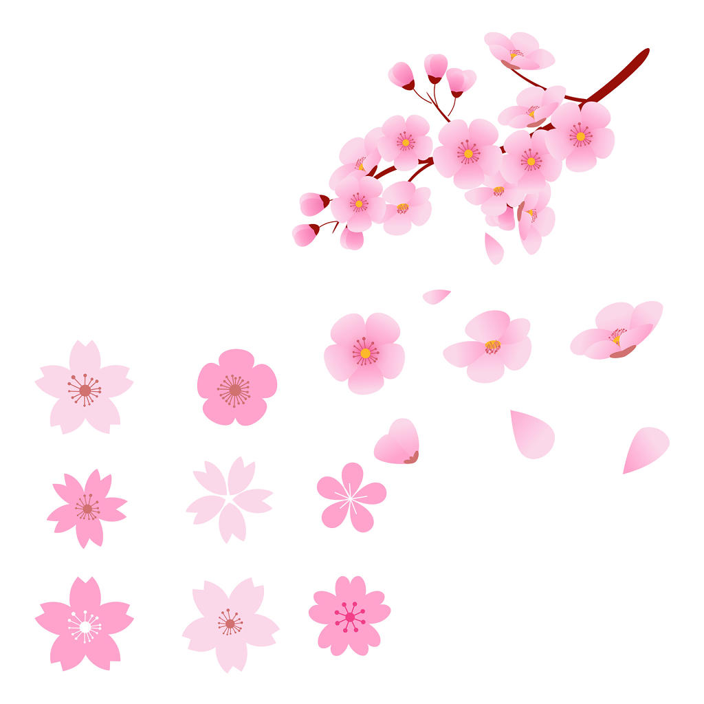 粉色日本樱花花朵花瓣花卉春天png元素