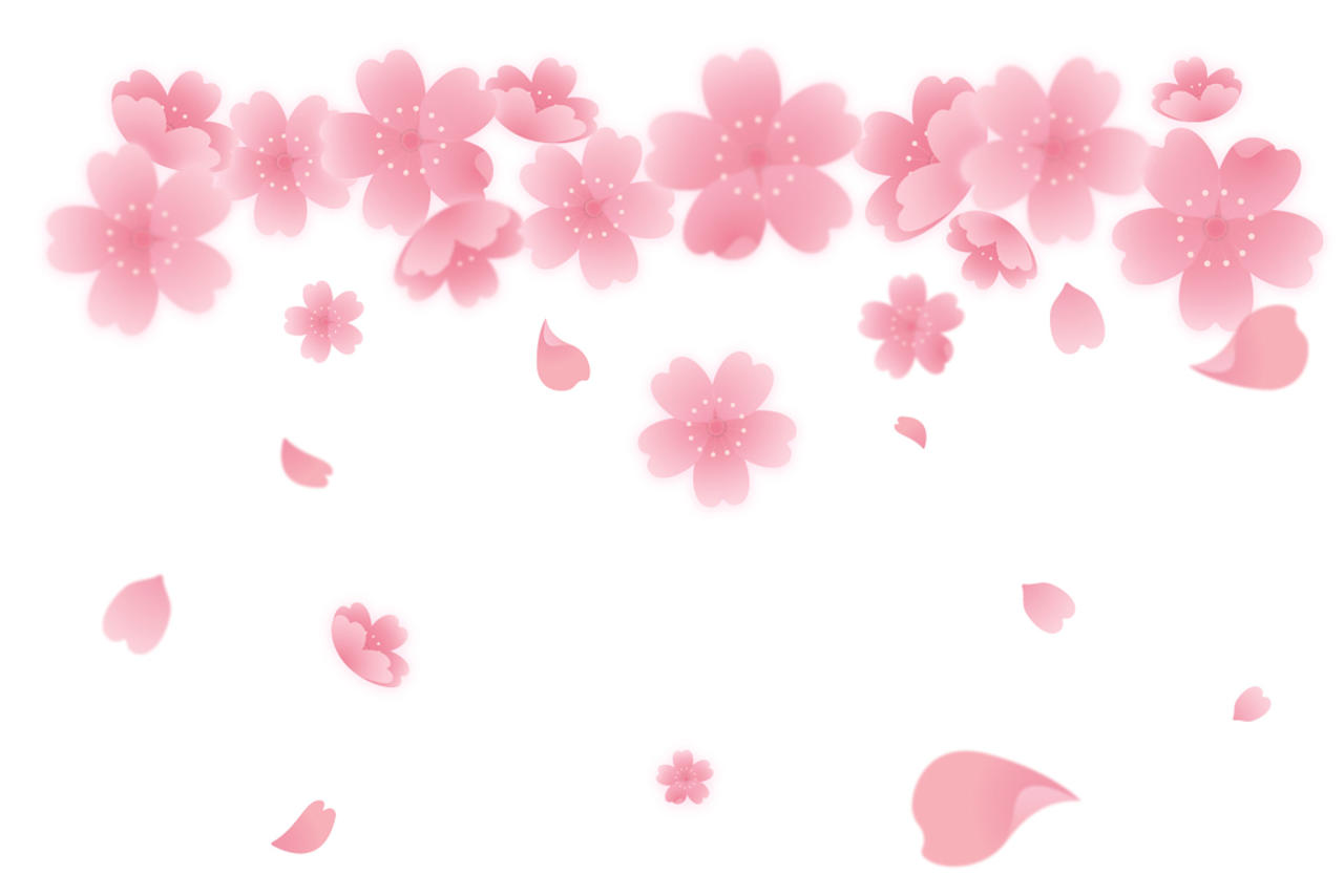 鲜花粉色日本樱花花朵花瓣花卉春天png元素