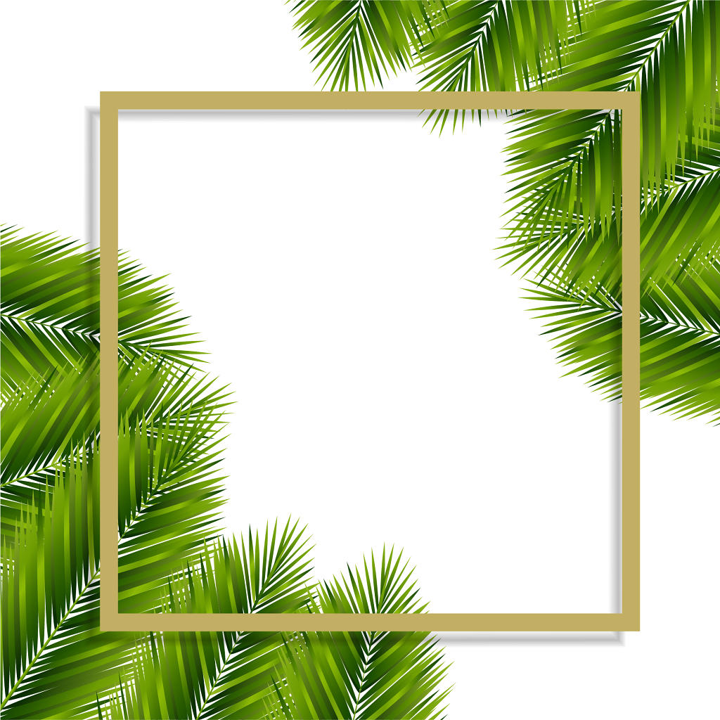 棕榈叶热带植物树叶边框素材