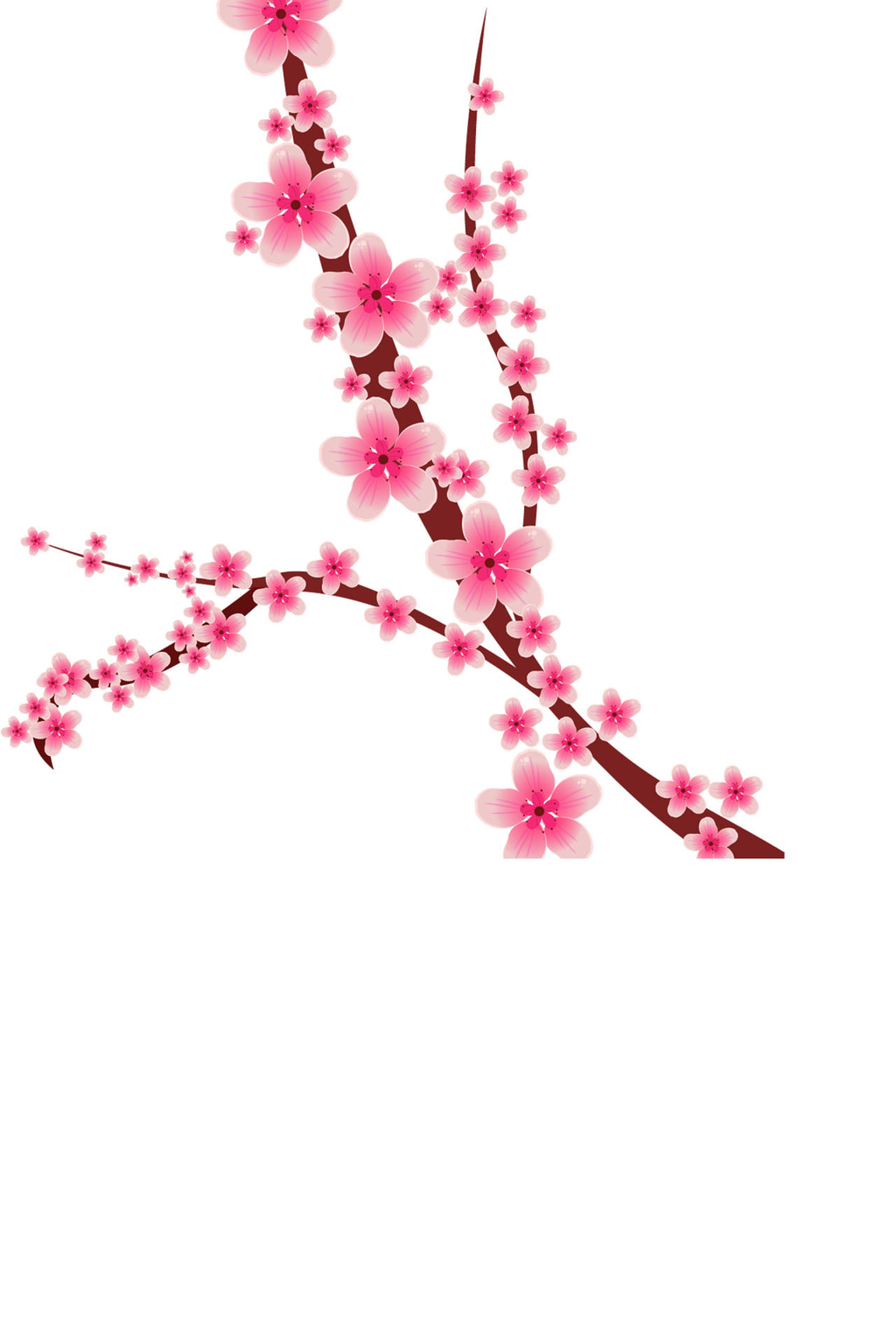 春天踏青日本樱花花朵花瓣花卉树枝png元素