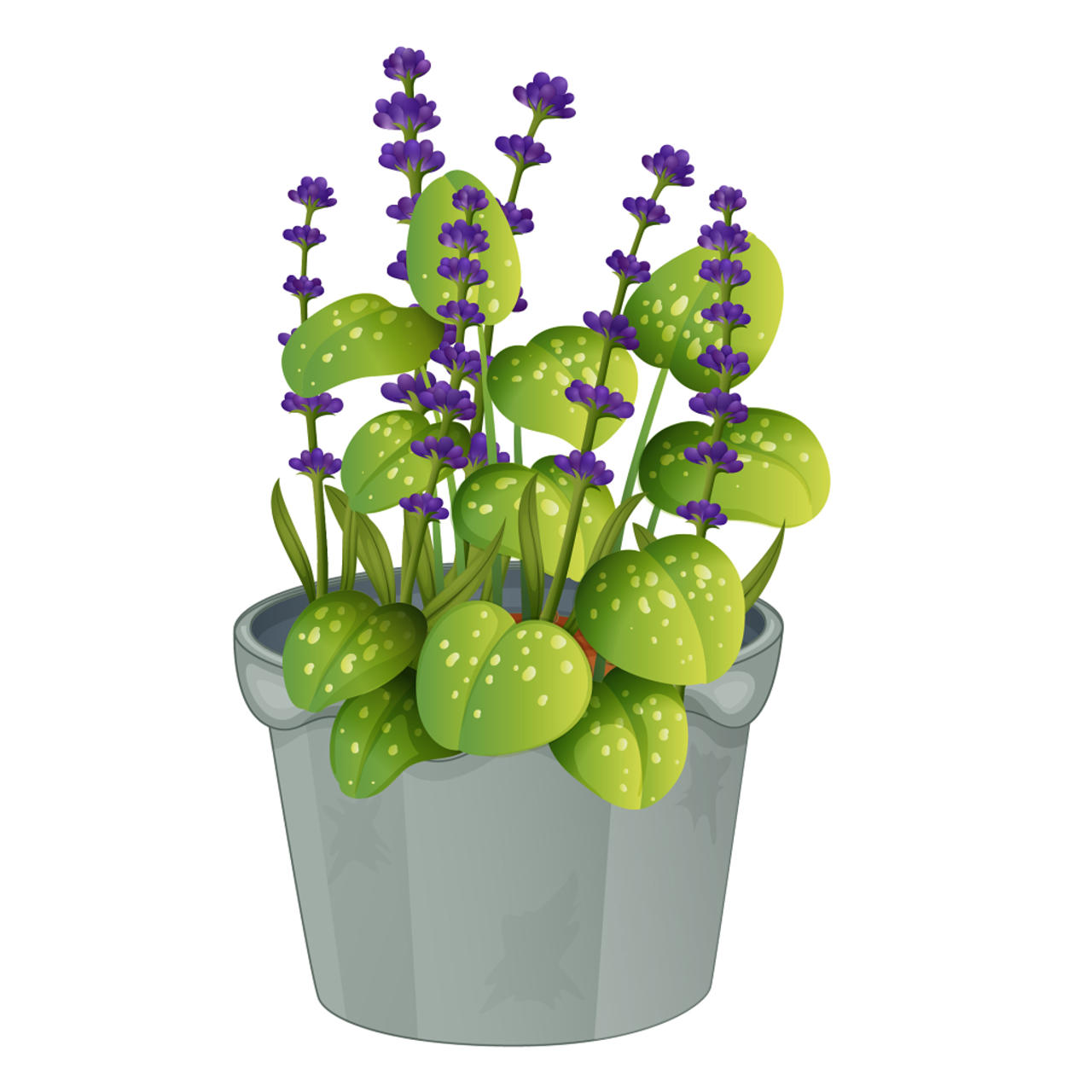 景观植物紫色花蕊植物盆栽盆景矢量素材
