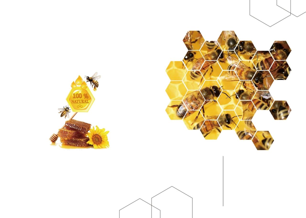简约黄色蜂蜜蔬菜水果农产品画册封面背景