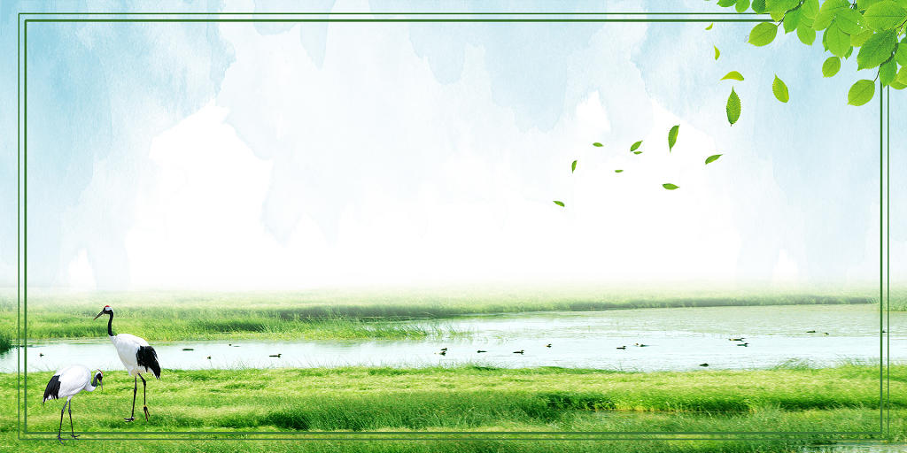 简约清新环境保护世界湿地日展板背景