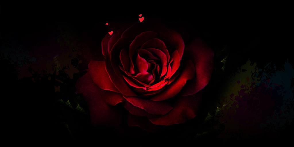 黑色酷炫红色玫瑰花214情人节情人节黑色背景