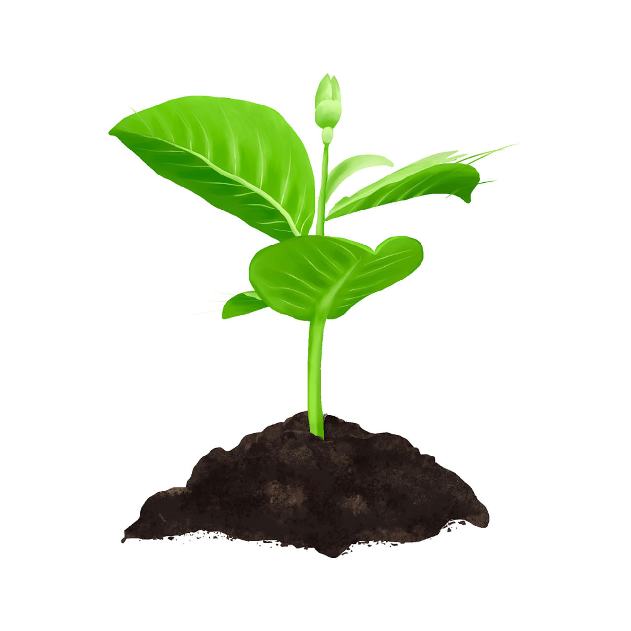 绿色卡通手绘小草种植树苗泥土土壤植树节元素png素材图片素材免费