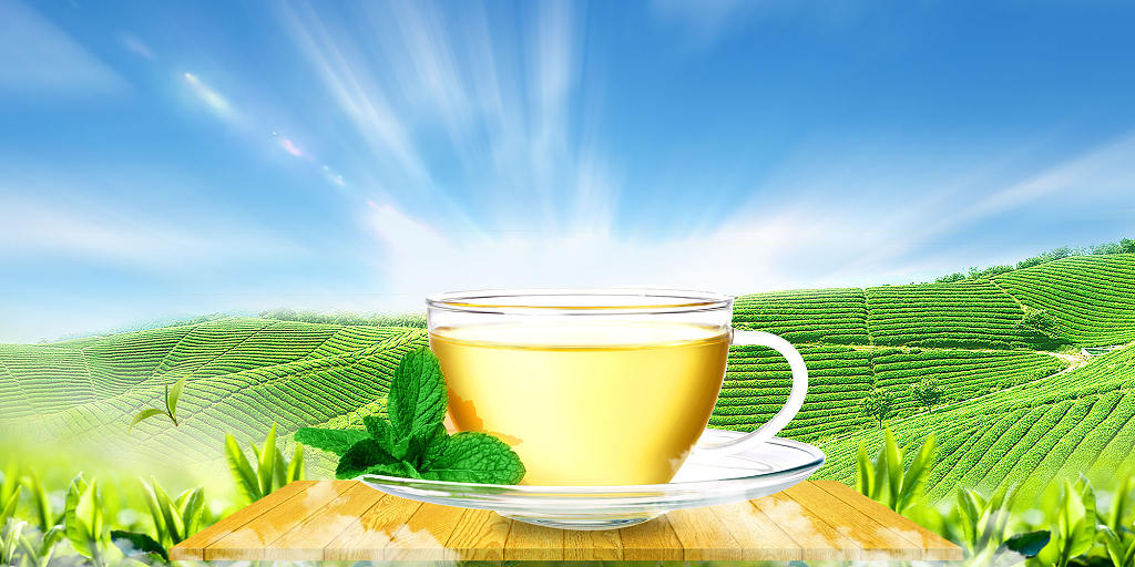 绿色场景茶叶茶具茶田天空春茶茶文化茶叶展板背景茶叶春茶茶文化背景