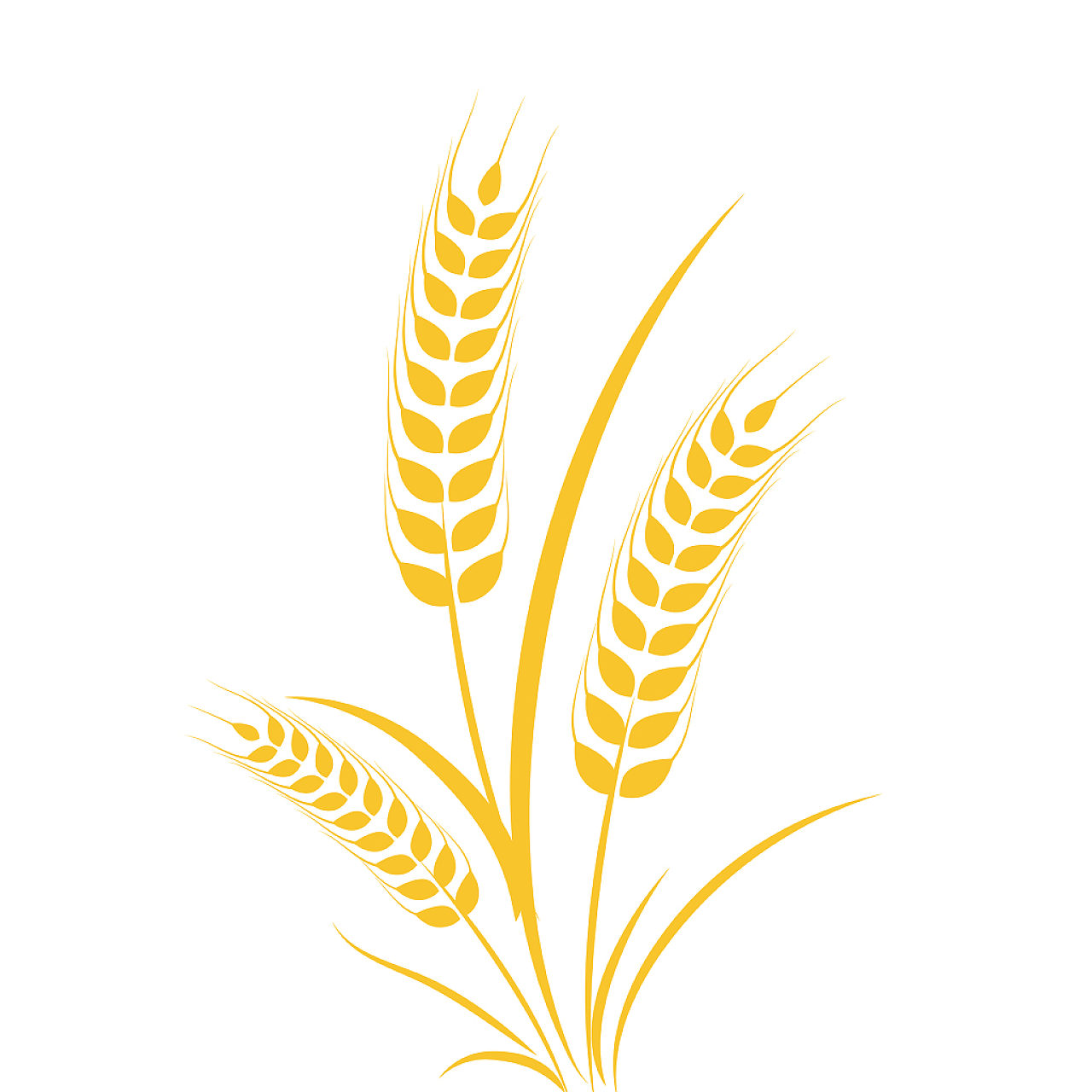 金色麦穗矢量麦穗元素农作物PNG素材