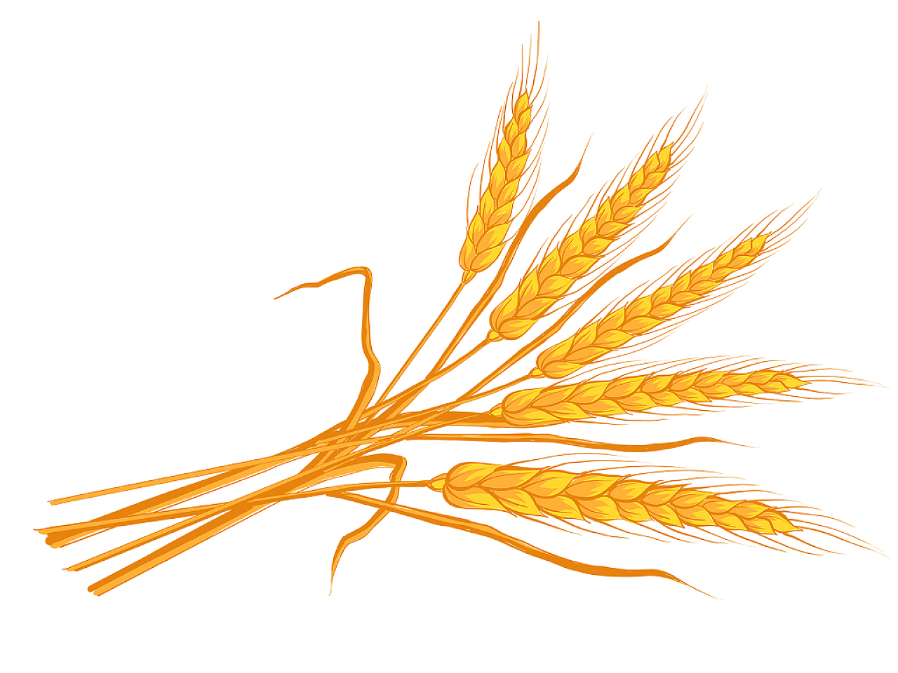 麦穗手绘麦穗元素水稻丰收PNG素材