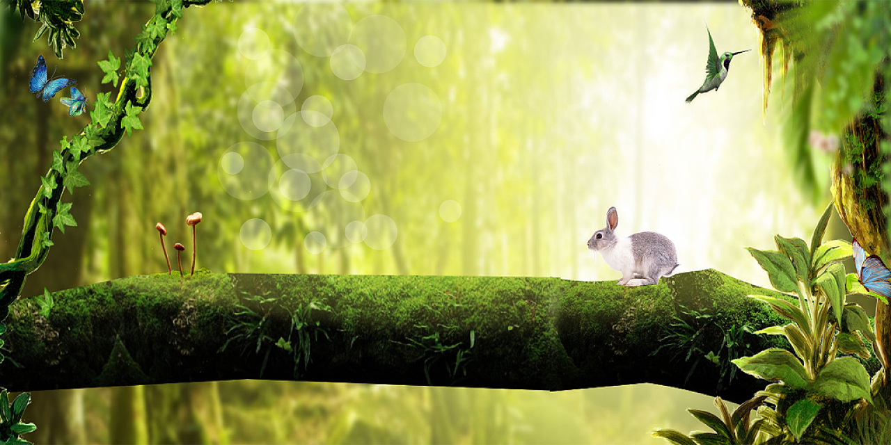 绿色森林简约大树树干蝴蝶黄光兔子梦幻森林背景图
