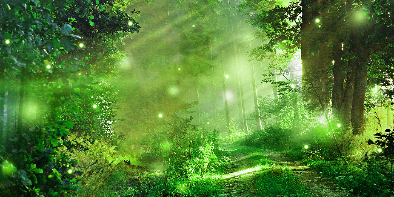 绿色场景大气森林光点梦幻森林展板背景