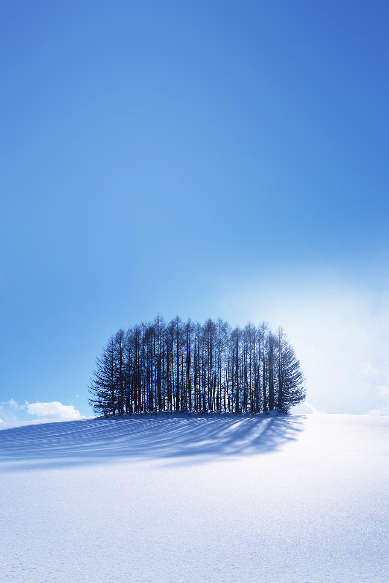 蓝色简约雪地树丛冬季寒冷严寒传统二十四节气大雪海报背景psd免费下载 图星人