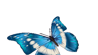 蓝色卡通蝴蝶元素GIF动态图