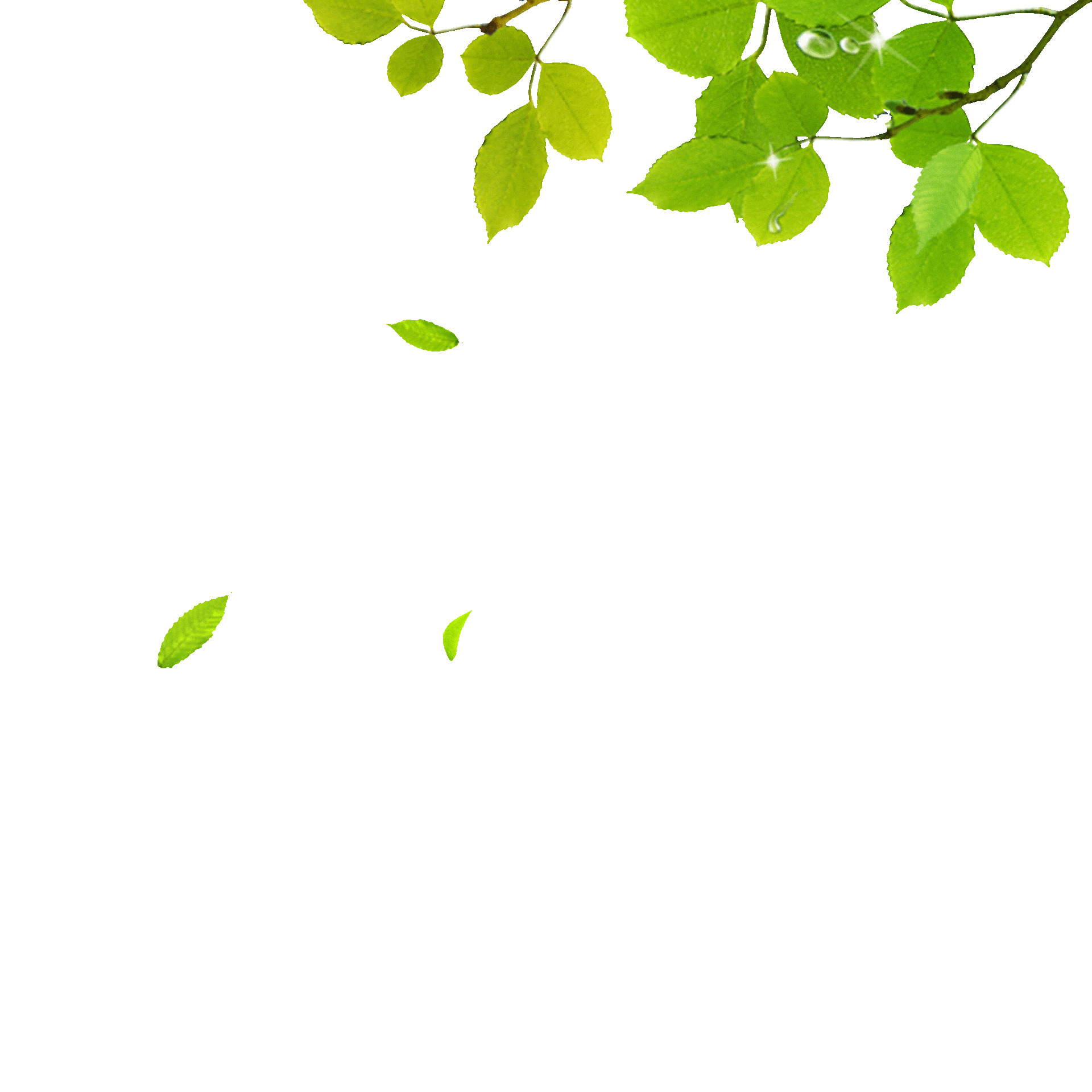 绿色飘落树叶元素GIF动态图飘落的树叶元素
