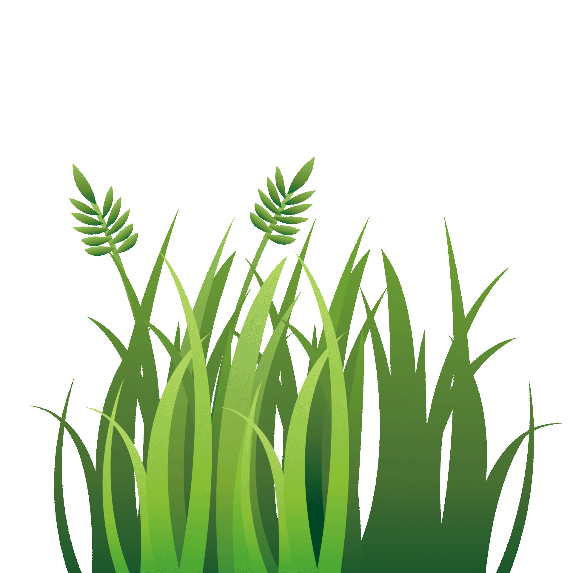 绿色卡通草丛植物元素GIF动态图小草元素