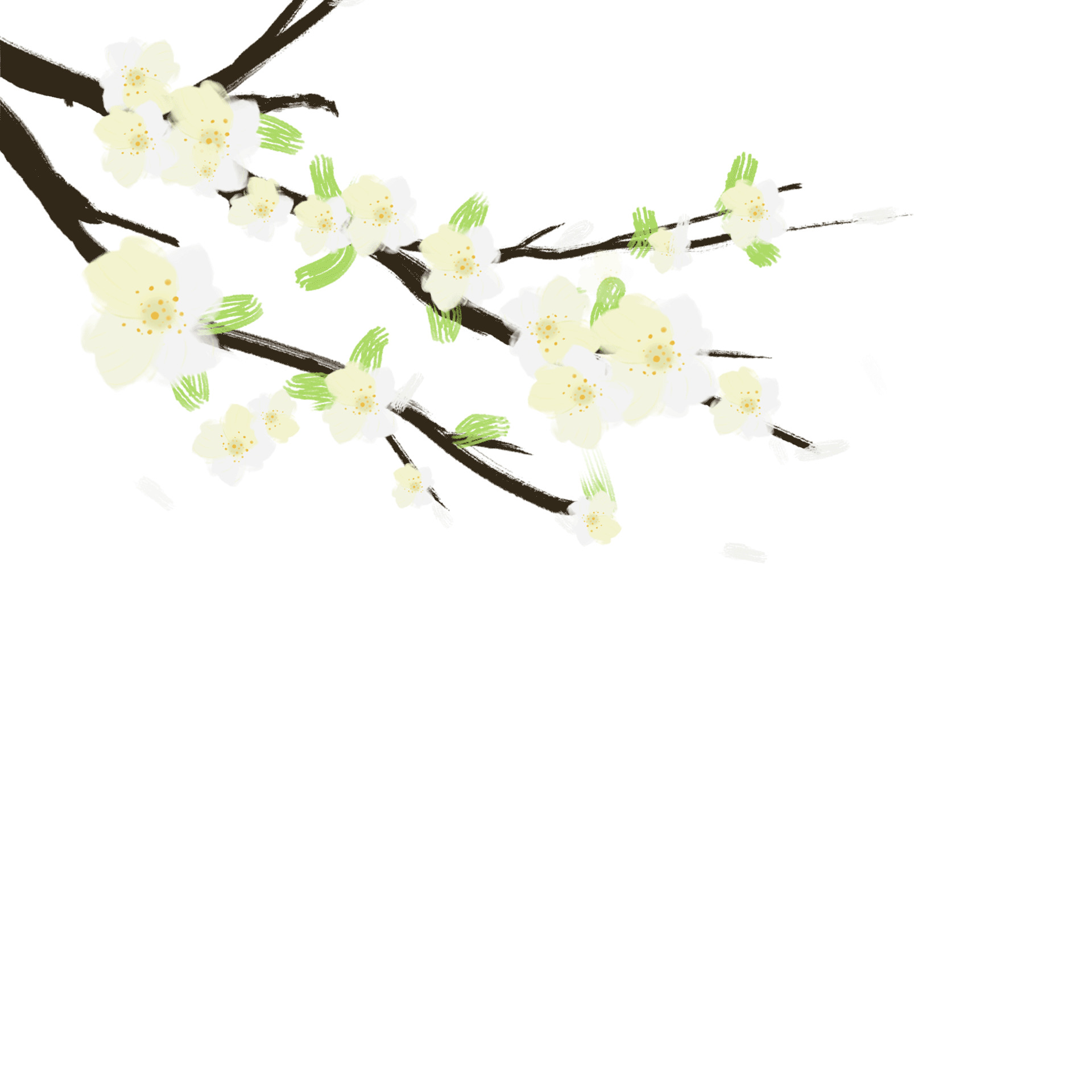 白色手绘梨花树落花元素GIF动态图梨花元素