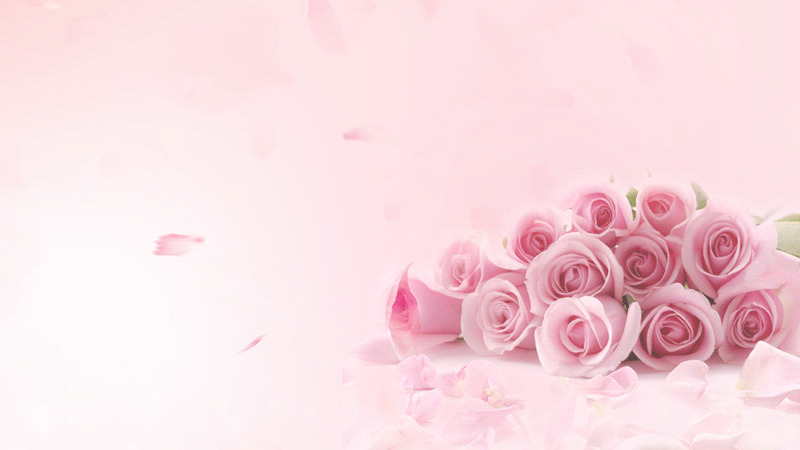粉色玫瑰花情人节元素动态背景情人节背景