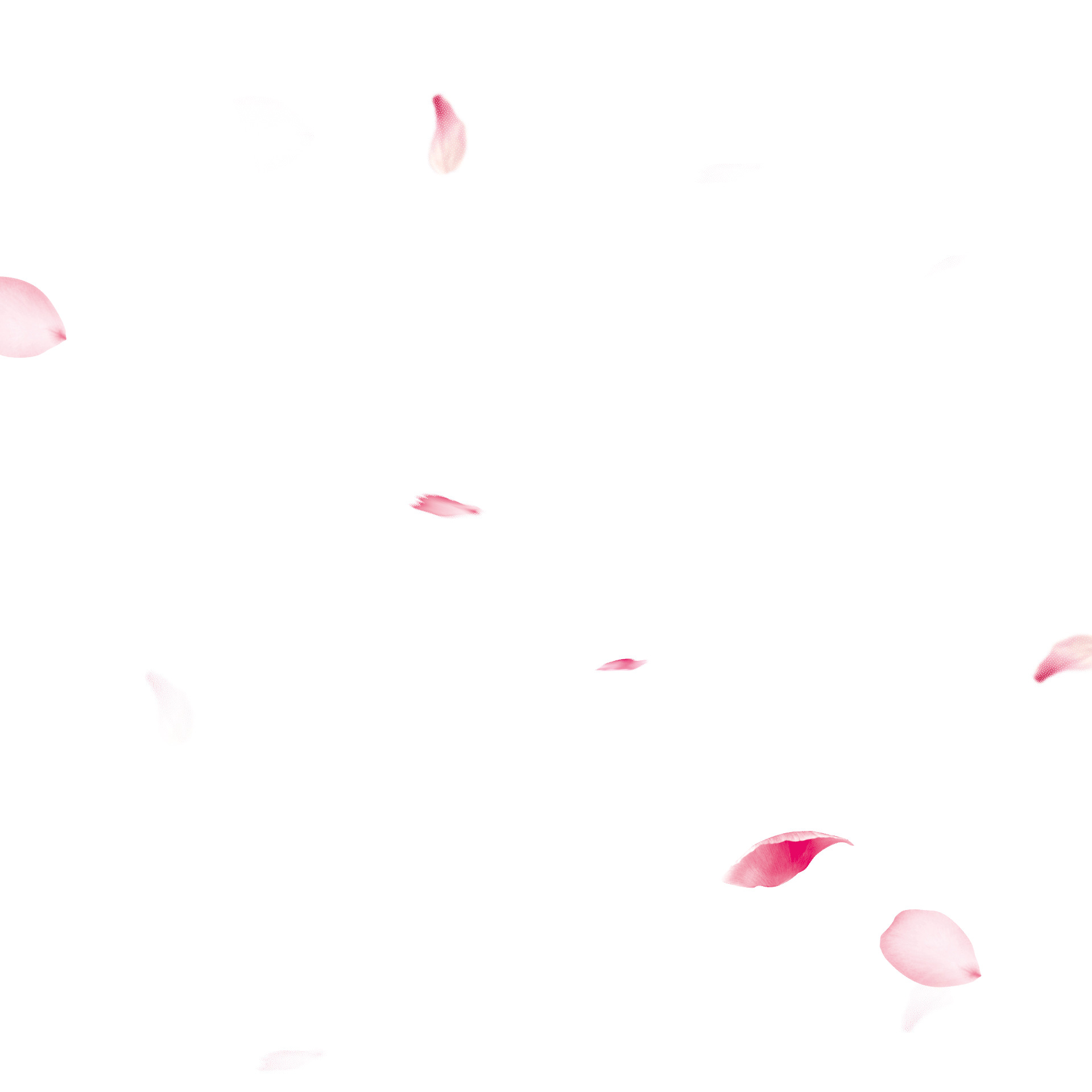 粉色飘落花瓣元素GIF动态图