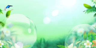 清新绿色气泡植物GIF动态背景水泡绿植背景