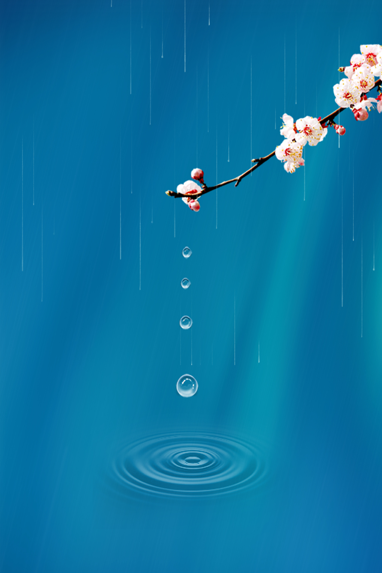 春天下雨蓝色简约雨滴梅花丝绸质感雨水海报背景