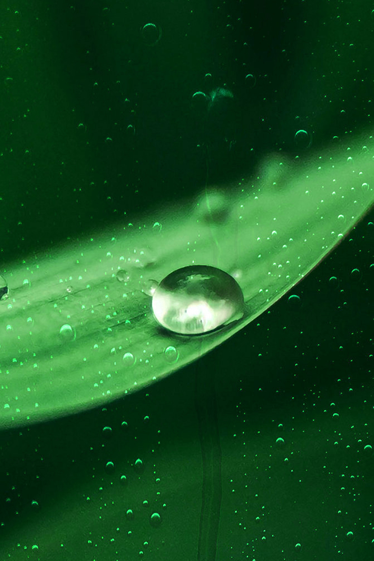 春天下雨绿色小清新绿叶水珠雨水海报背景