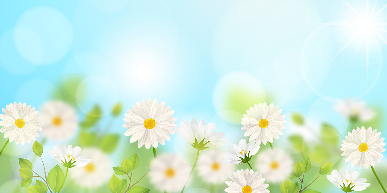 蓝色小清新春季春天花卉展板背景