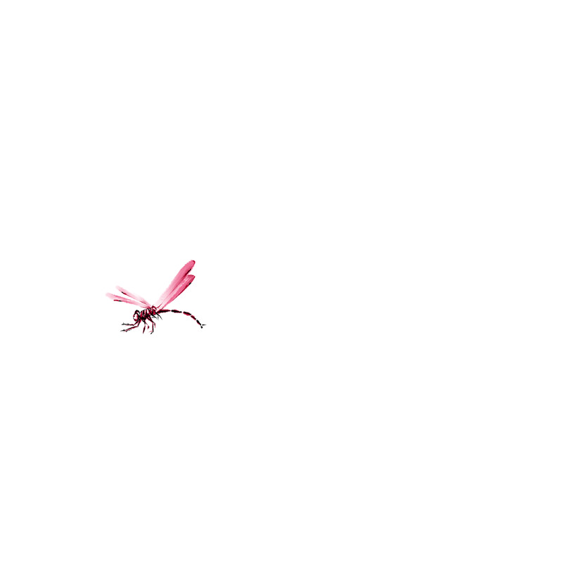 粉色水彩风格蜻蜓元素gif动态图