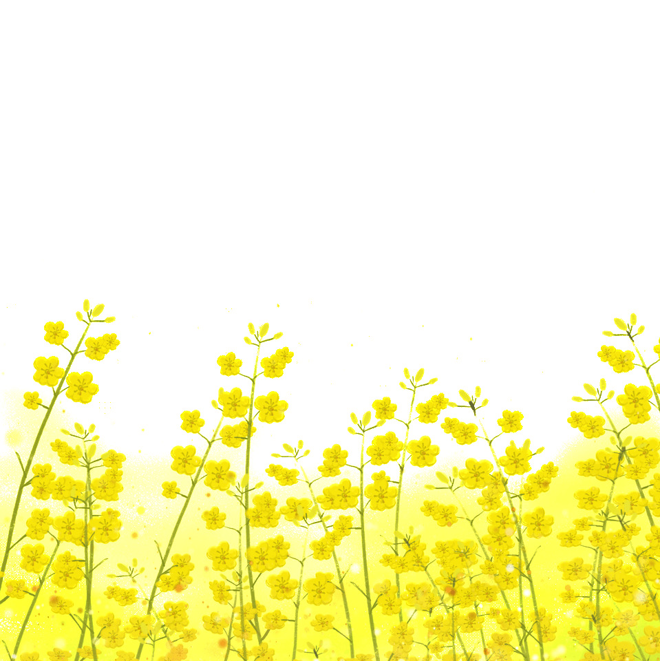 黄色油菜花元素GIF动态图