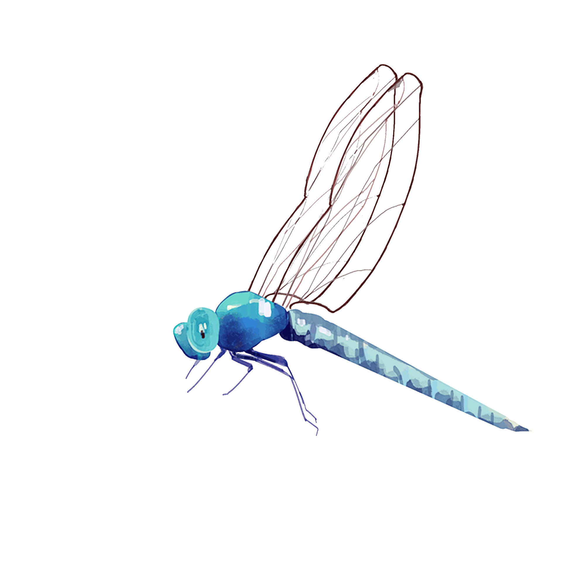 蓝绿色水墨风蜻蜓元素GIF动态图