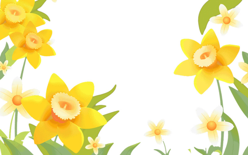 花朵背景生长动画黄色大花朵ae源文件花朵元素