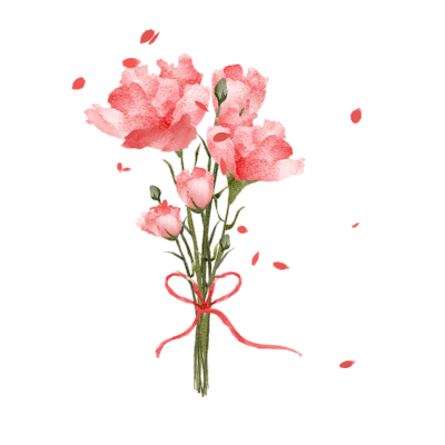 粉色康乃馨母亲节礼物鲜花元素GIF动态图康乃馨元素