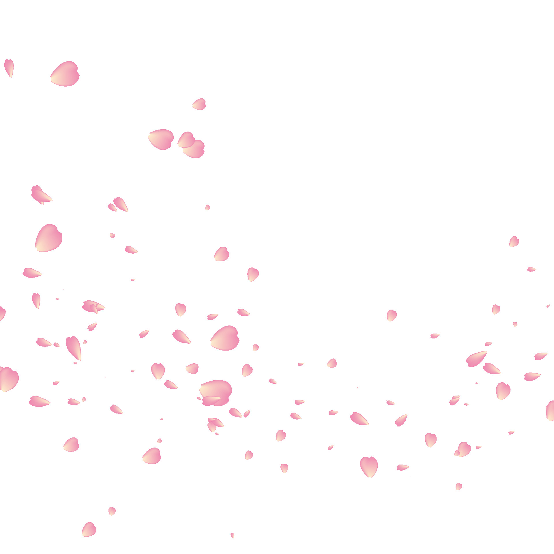 粒子gif动画美丽粉红ae源文件飘落元素